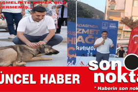 şablon_güncel