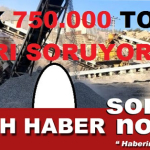 FLAŞ-HABER