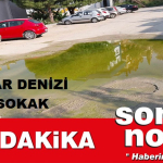 KADINLAR-DENİZİ