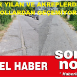 şablon_güncel-hakan-oğuzkaan