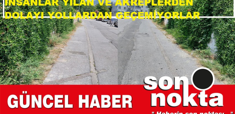 KUŞADASI 4,5 YILDIR AYNI HAMAM AYNI TAS…!