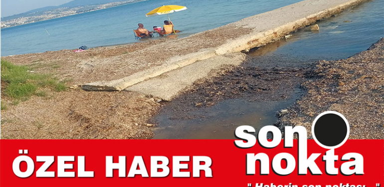 BELEDİYENİN İLGİSİZLİĞİNDEN HER TARAF MİKROP SAÇIYOR.