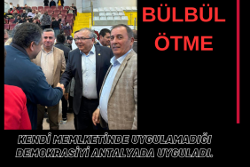 Son Nokta Haber Şablonu (12)